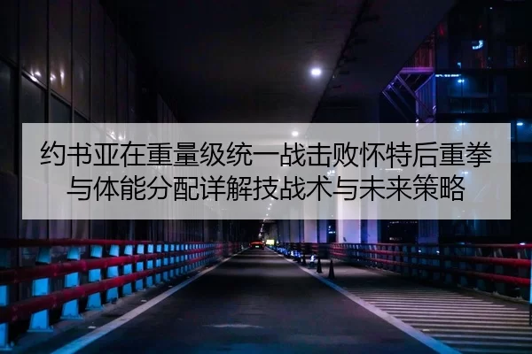 约书亚在重量级统一战击败怀特后重拳与体能分配详解技战术与未来策略