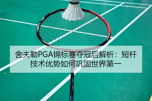 she-fu-lei-jin-biao-sai-duo-guan-hou-jie-xi-duan-gan-ji-shu-you-shi-ru-he-gong-gu-shi-jie-di-yi-2-210.jpg